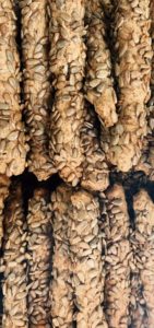 ΤΟ ΑΓΓΕΛΟΖΥΜΩΤΟ - ΑΣΤΕΡΙΟΥ ΣΠΥΡΙΔΩΝ