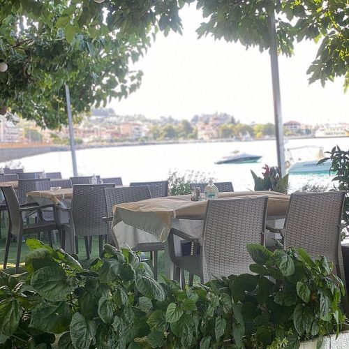 καροπλεση 4